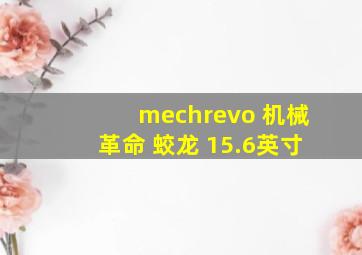 mechrevo 机械革命 蛟龙 15.6英寸